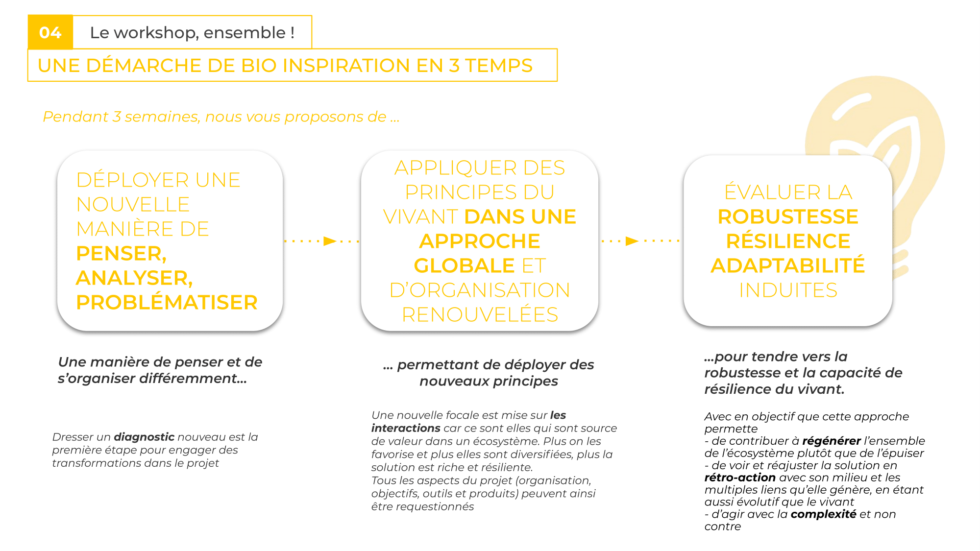 Une démarche de bio-inspiration en 3 temps 